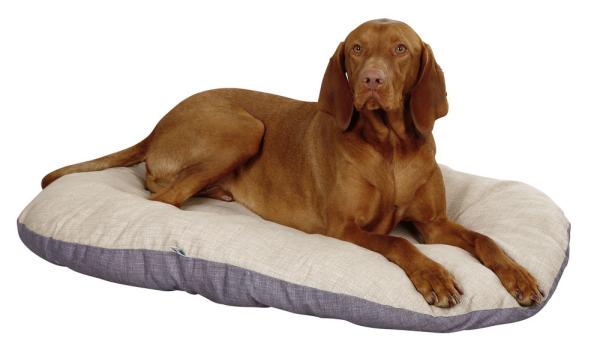 Hundekorb Kunststoff mit passendem Kissen - Hundebett abwaschbar